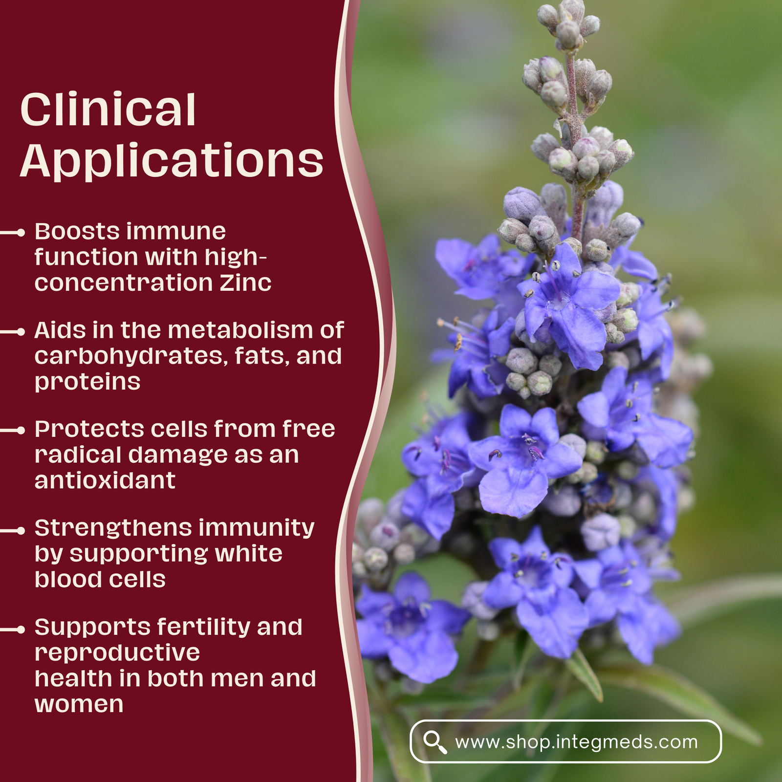 Chaste Tree Premium - Image 3