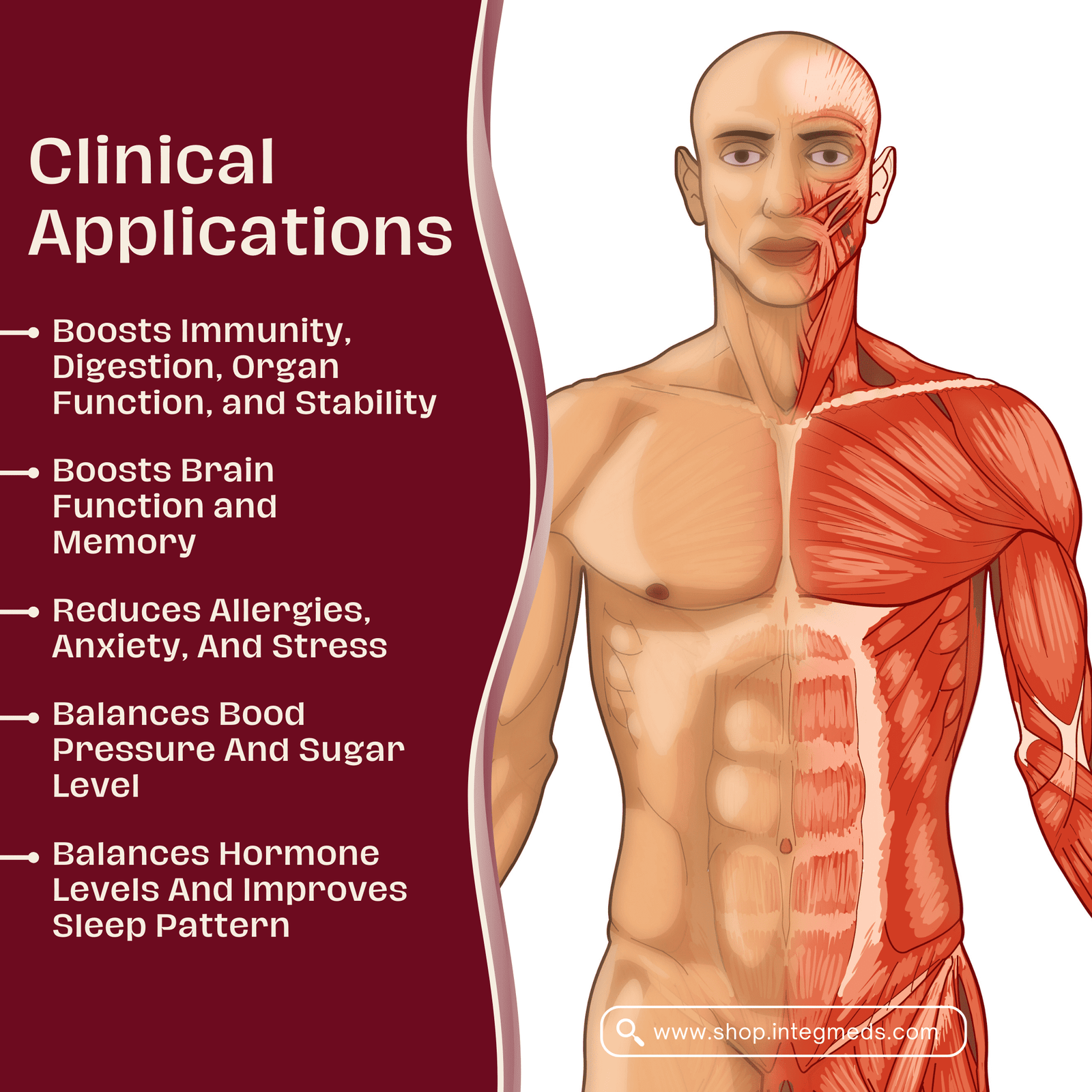 Complete Adaptogen - Image 3