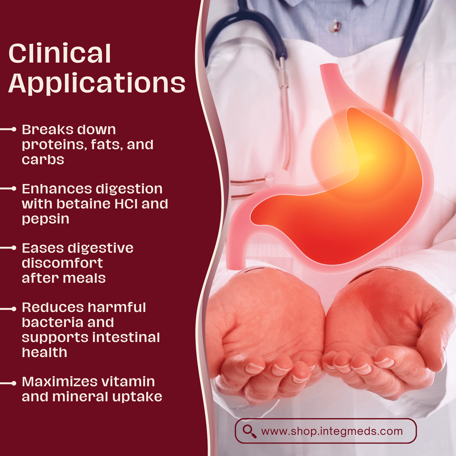 Digest & Probiotics - Image 3