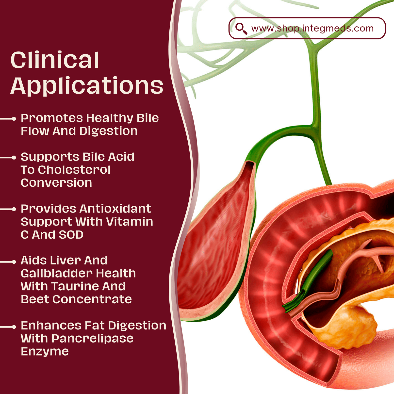 Gall Bladder Care - Image 3