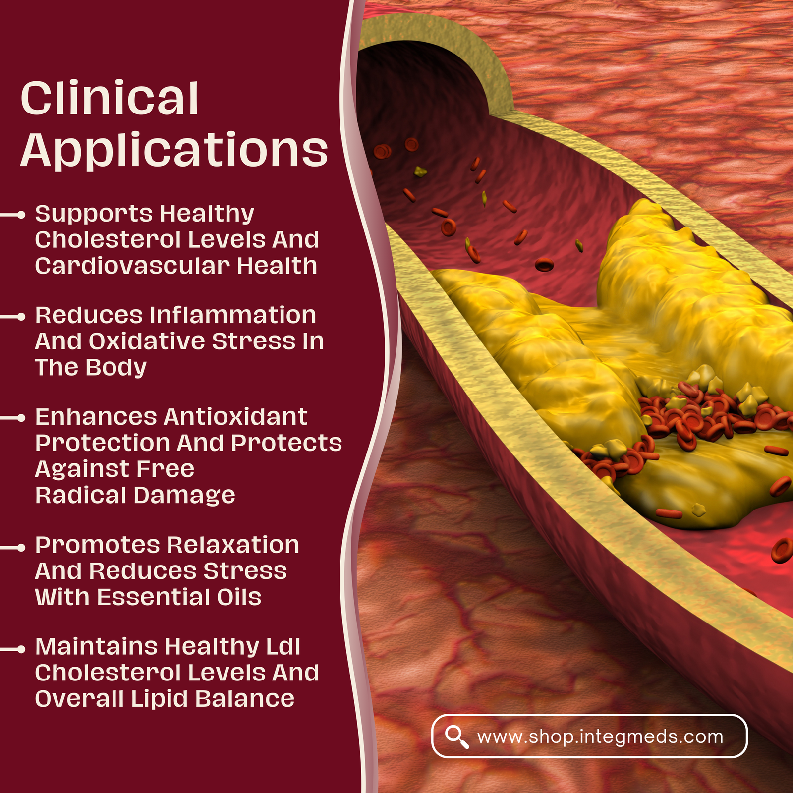 Lipid Balance - Image 4