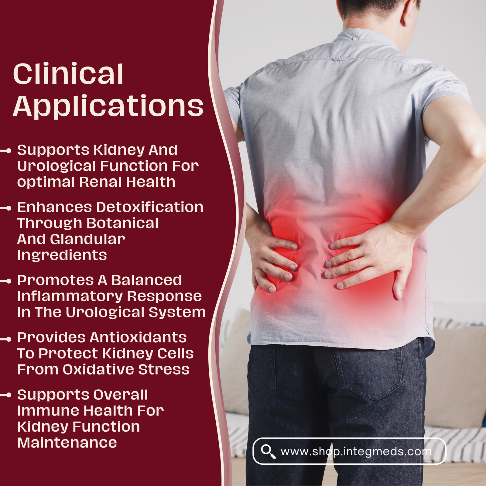 Core Kidney - Image 3